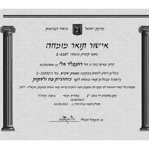 מומחה כירורגיית פה ולסתות רוזנפלד אלי